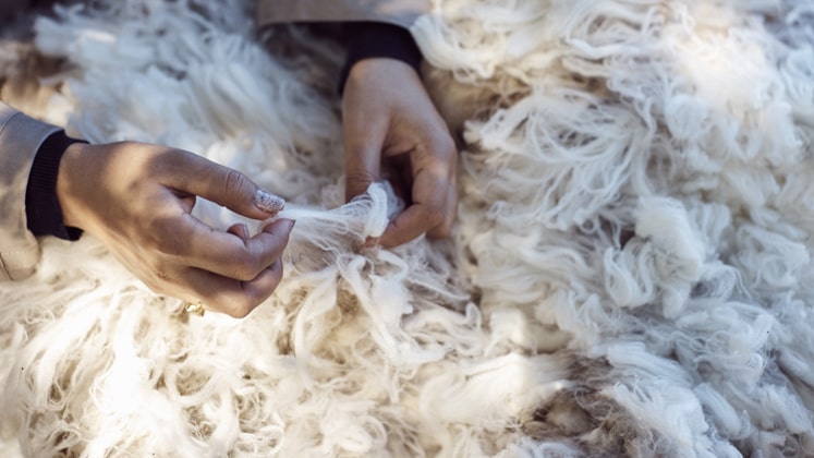 australian wool