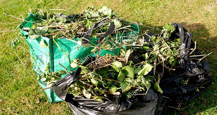 garden rubbish removal